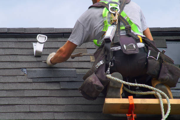 Best Roof Moss and Algae Removal  in Santa Maria, CA